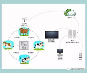 一個你不知道的神器！不了解它，連牛羊都不讓你養，你還談什么智慧養殖？
